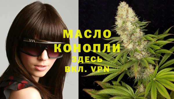 дмт Аркадак