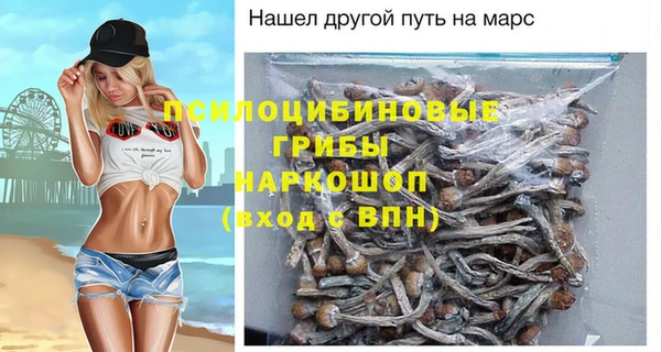 2c-b Абдулино