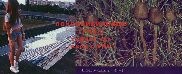 МДПВ Абинск