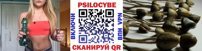 ОМГ ОМГ вход Королёв Галлюциногенные грибы Psilocybe где найти наркотики