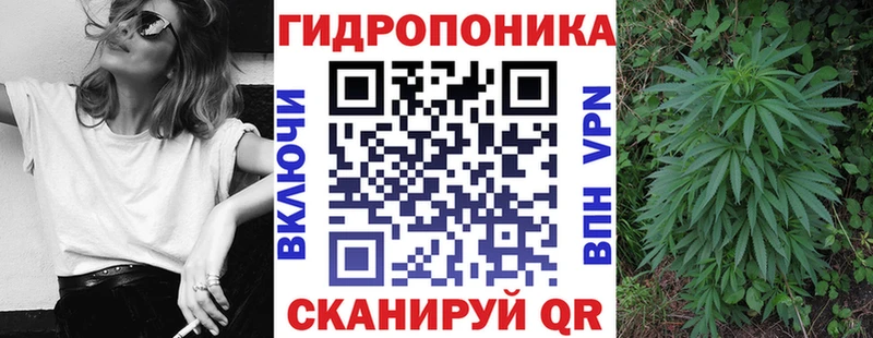 Каннабис конопля  Королёв 